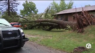 Widespread storm damage