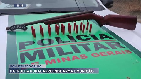 Bom Jesus do Galho: Patrulha Rural apreende arma e munição