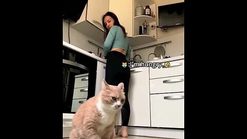 Funniest cats In The World Funny and Fails Pets Video