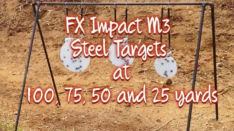 FX Impact M3 steel target shooting