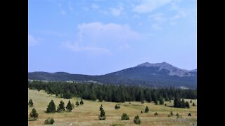 Bighorn National Forest: An Afternoon Adventure