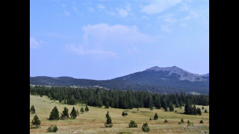 Bighorn National Forest: An Afternoon Adventure