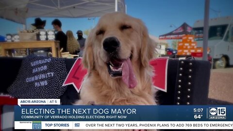 Verrado dog mayor election heats up in final days of campaign