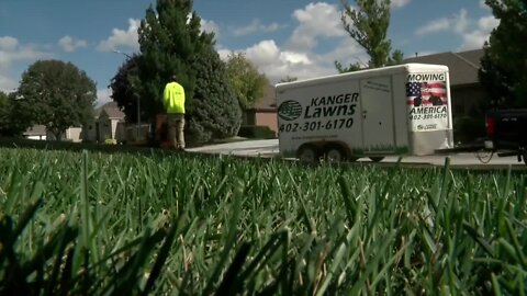 BBB: Lawncare Scams