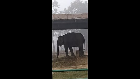 Nepal Chitwan National Park