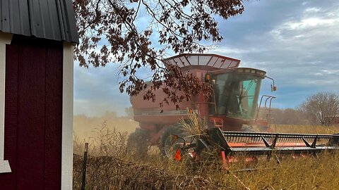 Combine Harvesting Farm Field