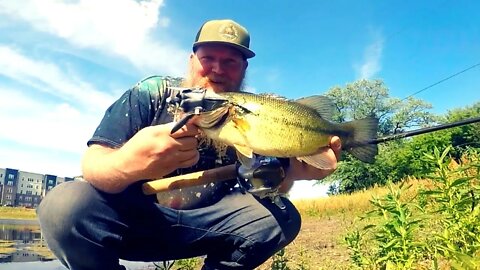 Savage Gear 3D Bat / Catching Bass With Topwater Lures / Weird Fishing Lures Challenge