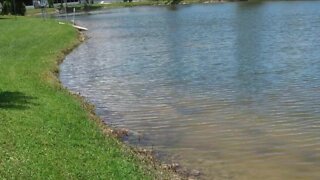 System hits Collier Co. the hardest with 8" of rain or more in spots