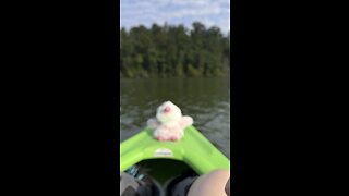 Spoingus on a canoe, ride, Kingston, Tennessee, clinch, river, 9/21/2023