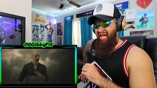 Devin Townsend Project - Stormbending (official video) REACTION!!!