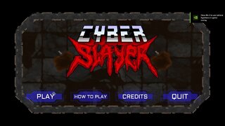 What Is?: Cyber Slayer