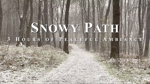Winter Wonderland: ASMR Nature Ambiance of Snowy Forest Wooded Path