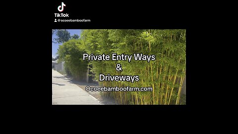 Ocoee Bamboo Farm 407-777-4807 Tropical Driveway Entryways & Large Property Lines