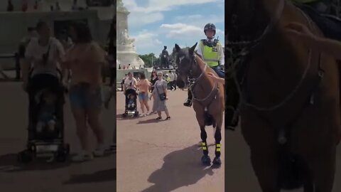 part 3 police women on horseback grabs tourist by his rucksack #buckinghampalace