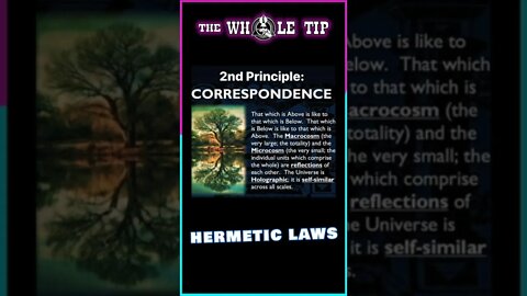 HERMETIC LAWS II CORRESPONDENCE the Whole Tip Daily #shorts