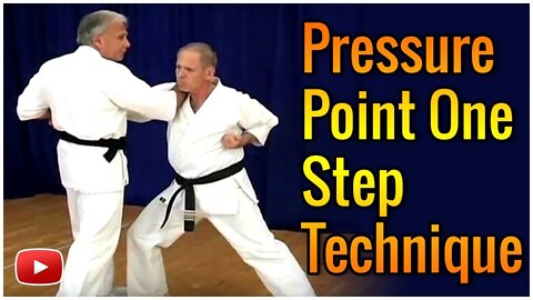 Mastering the Martial Arts Pressure Point One Step Techniques