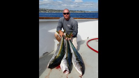 (17) 07/21/2015 - Half Day Yellowtail bite aboard the New Seaforth.