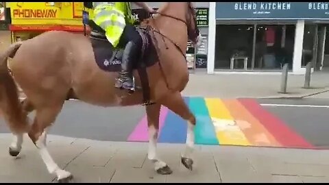 Are police horses homophobic?