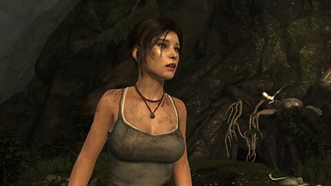 Benchmark: ASUS RTX 2080 + Ryzen 5 3600 - 4K - Tomb Raider Ultimate Settings