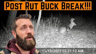 Rifle SEASON Trailcam FOOTAGE!!!