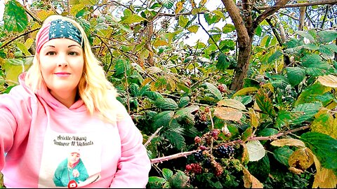 Hike With Me as I Explore a Woodland Park and Forage Wild Fruits