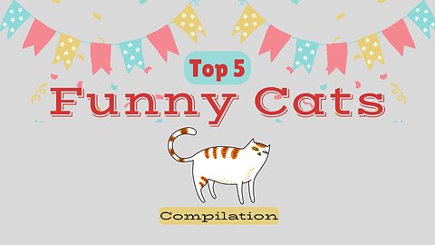 Orange Green Top 5 Funny Cats Compilation Video