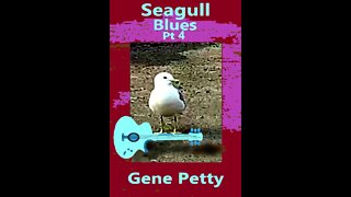 Seagull Blues Pt 4 By Gene Petty #Shorts