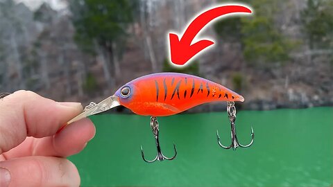 NO ONE Talks About These CRITICAL Cold Water Crankbait TIPS