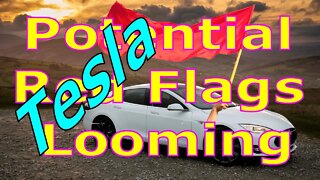 Tesla: Driving With Potential Red Flags Looming - #1144