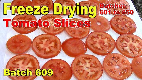 Batch 609 Freeze Drying Tomato Slices