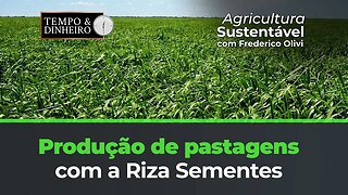 Produção de pastagens com a Riza Sementes