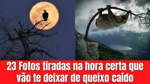 23 Fotos tiradas na hora certa que vão te deixar de queixo caído