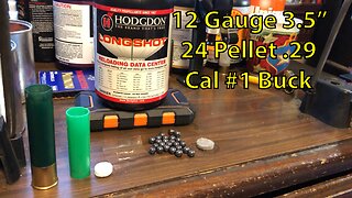 12 Gauge 3.5” 24 Pellet .29 Cal Buckshot