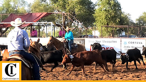 Team Sorting 🐂 2023 Motley / Dickens Old Settlers Rodeo | Friday