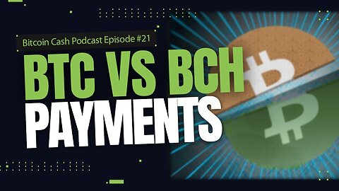 BTC vs BCH: Payments