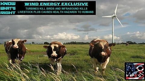 EXCLUSIVE: Turbines kill birds and livestock plus causes health hazards in humans