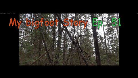 My Bigfoot Story Ep. 51 - Stick Structures Another Look