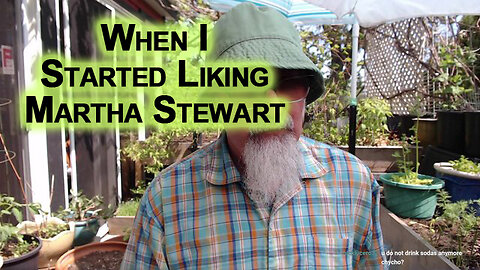 When I Started Liking Martha Stewart