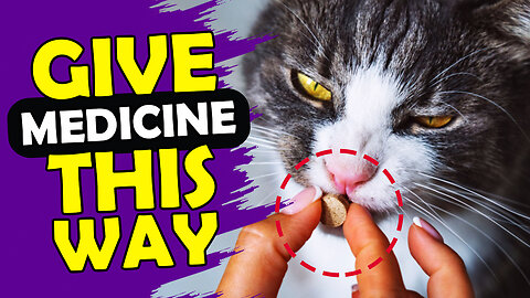 The Scratch Free Way to Give Your Cat Medicine!