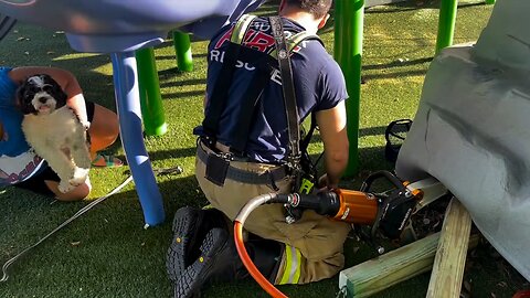 Firefighters rescue a dog who managed to get stuck under an artificial rock