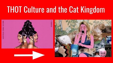 WAP Culture Leads to the Cat Kingdom! - @Anthony Dream Johnson