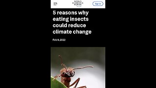 The WEF Agenda/Propaganda and Promotion of Eating Insects (3 video Compilation)