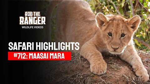 Safari Highlights #711: 27 August 2022 | Lalashe Maasai Mara | Latest Wildlife Sightings