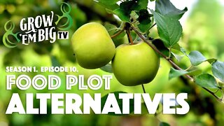 Food Plot Alternatives | Grow 'em Big TV