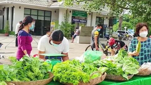 Tour Siem Reap2021, Safe Vegetables nearly Grand Hotel D' Angkor #Shorts / Amazing Tour Cambodia.