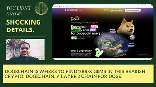 DogeChain Is Where To Find 1000x Gems In This Bearish Crypto. Dogechain, A Layer 2 Chain For Doge.