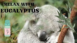 Relax with Eucalyptus