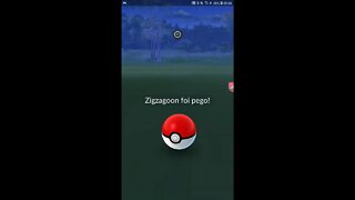 Live Pokémon GO - Recompensa Semanal