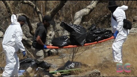 Mexican police find 45 bags of human remains