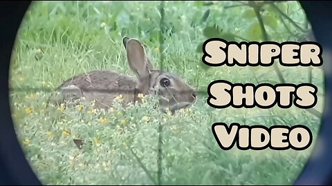 Sniper kill the rabbit 🐇 | Sniper shot